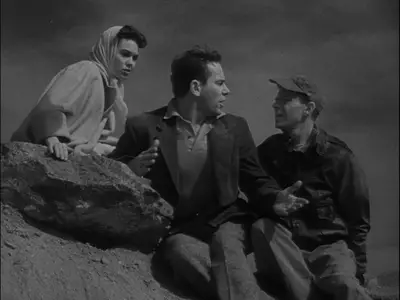It Came from Outer Space (1953)