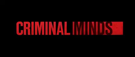 Criminal Minds S17E08