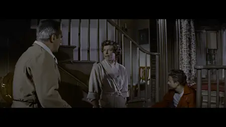 Rebel Without a Cause (1955) [4K, Ultra HD]