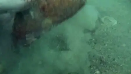 The UnXplained S07E15