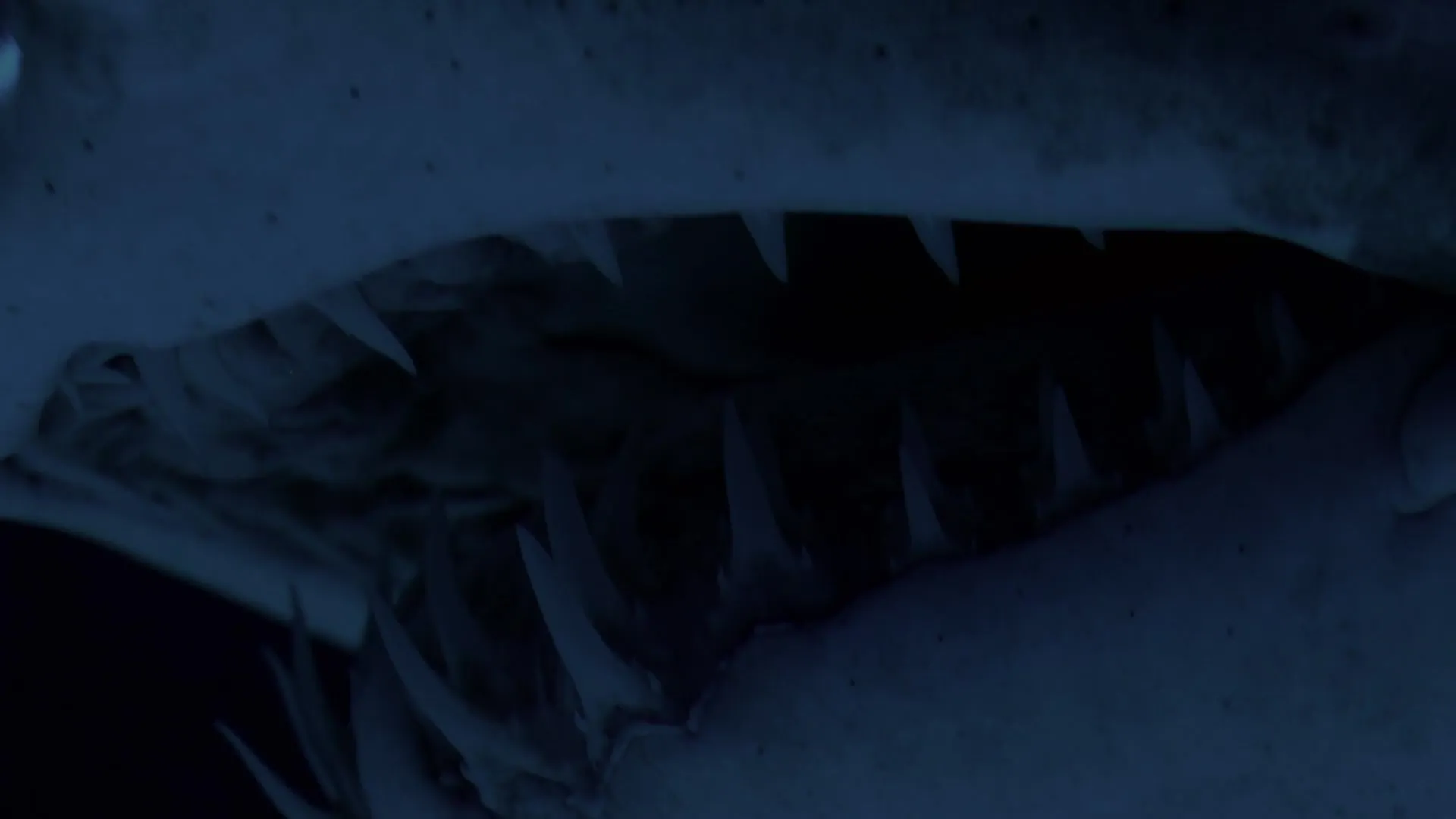 The UnXplained S07E15