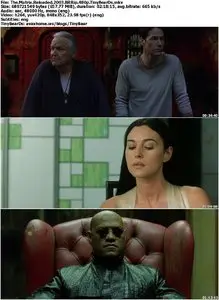 The Matrix Trilogy (1999 - 2003) [Reuploaded]