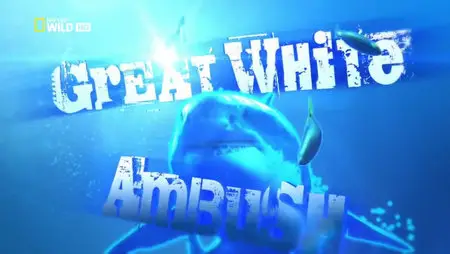National Geographic Killer Shots Great White Ambush (2011)