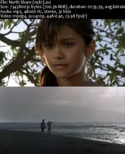 North Shore (1987)