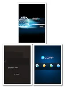 Flash Web Template Pack (07.04.2010)