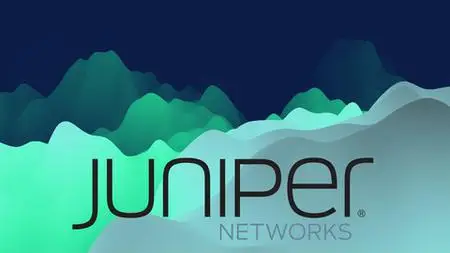 Juniper Ospf (Single Area, Multi Area, Stub, Nssa) + Lab