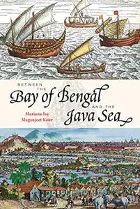 Between the Bay of Bengal and the Java Sea: Trade Routes, Ancient Ports and Cultural Commonalities in Southeast Asia