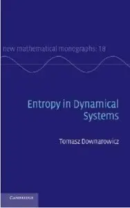 Entropy in Dynamical Systems [Repost]