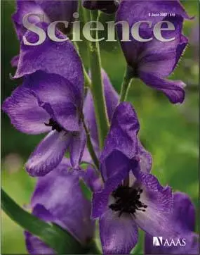 Science June 8 2007