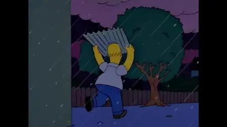 Die Simpsons S03E17