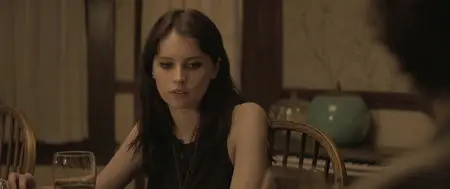 Breathe In (2013)