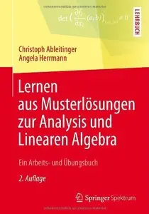 Lernen aus Musterlösungen zur Analysis und Linearen Algebra: Ein Arbeits- und Übungsbuch, Auflage: 2