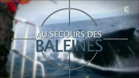(Fr5) Au secours des baleines (2016)