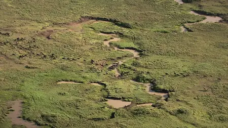 National Geographic: Great Migrations [6 series] /  National Geographic: Великие миграции [6 серий] (2010) [Repost]