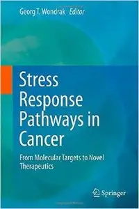 Stress Response Pathways in Cancer: From Molecular Targets to Novel Therapeutics