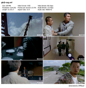 Once A Gangster (2010)