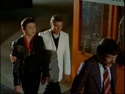 Fox and His Friends (1975)