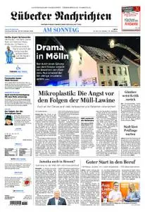 Lübecker Nachrichten Lauenburg - 28. Oktober 2018