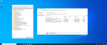 Windows 10 Version 20H2(2004) build 19042(19041).1237 Business & Consumer Editions