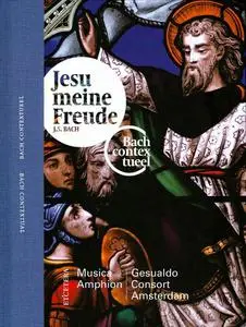 Pieter-Jan Belder, Musica Amphion, Gesualdo Consort Amsterdam - Bach in context: Jesu meine Freude (2013)