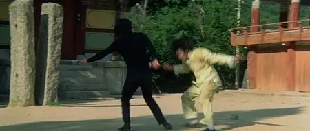 Game Of Death II (1981)