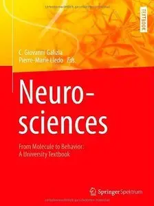 Neurosciences - From Molecule to Behavior: A UniversityTextbook (Repost)