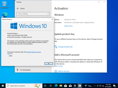 Windows 10 Pro 22H2 Build 19045.2006 Multilingual (x64) Preactivated September 2022