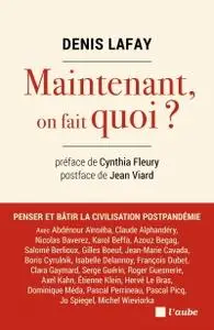 Denis Lafay, "Maintenant, on fait quoi ?"