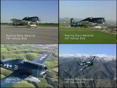 Roaring Glory Warbirds -  F6F Hellcat