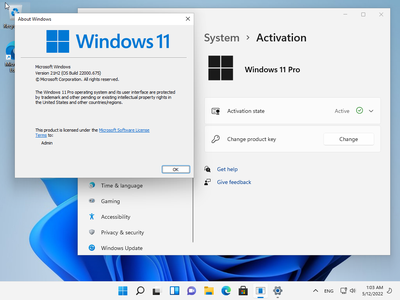 Windows 11 Pro 21H2 Build 22000.675 (No TPM Required) Multilingual Preactivated