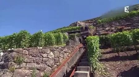 (Fr3) Des racines et des ailes - Passion patrimoine, des Vosges au lac Léman (2015)
