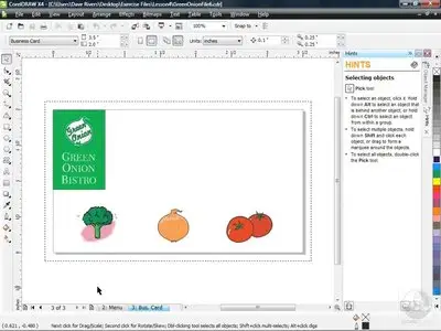 CorelDRAW X4 Essential Training with David Rivers