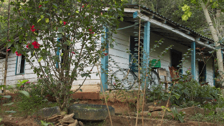 Cuban Food Stories (2018)