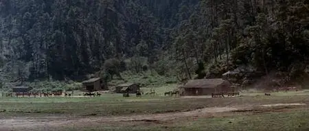 The Revengers 1972