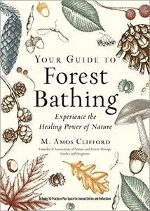Your Guide to Forest Bathing: Experience the Healing Power of Nature (Expanded Edition)