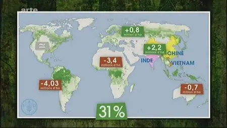 (Arte) Le dessous des cartes : Histoire de forêts (2sur2), l'Europe et le Monde (2012)