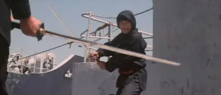 The Killer Elite / Die Killer-Elite (1975)