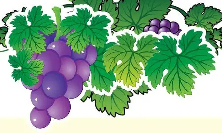 Grapes PSD