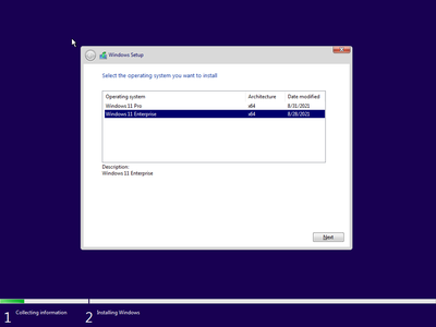 Windows 11 Pro/Enterprise Build 22000.168 (x64)  (No TPM Required) With Office 2019 Pro Plus Preactivated