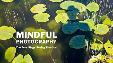 Mindful Photography: The Four Stage Seeing Practice