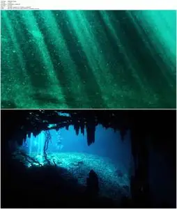 Cenote (2019)