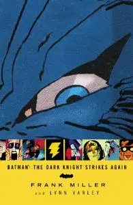 DC-Batman The Dark Knight Strikes Again 2004 Retail Comic eBook