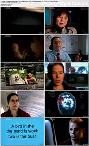 National Geographic - My Brilliant Brain: Accidental Genius (2007)