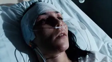 The Girl Who Kicked The Hornets Nest (2009)