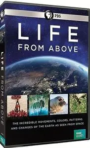 PBS-BBC Earth - Life from Above: Series 1 (2019)