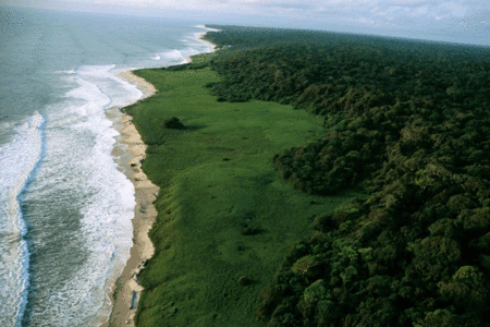 National Geographic Gabon the Last Eden