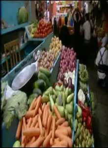 Health and Food Documentaries