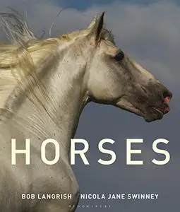 Horses (Repost)