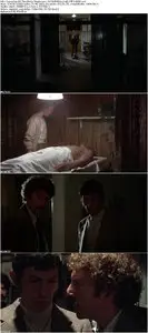 Invasion of the Body Snatchers (1978)