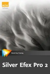 Video2Brain - Silver Efex Pro 2 Workshop